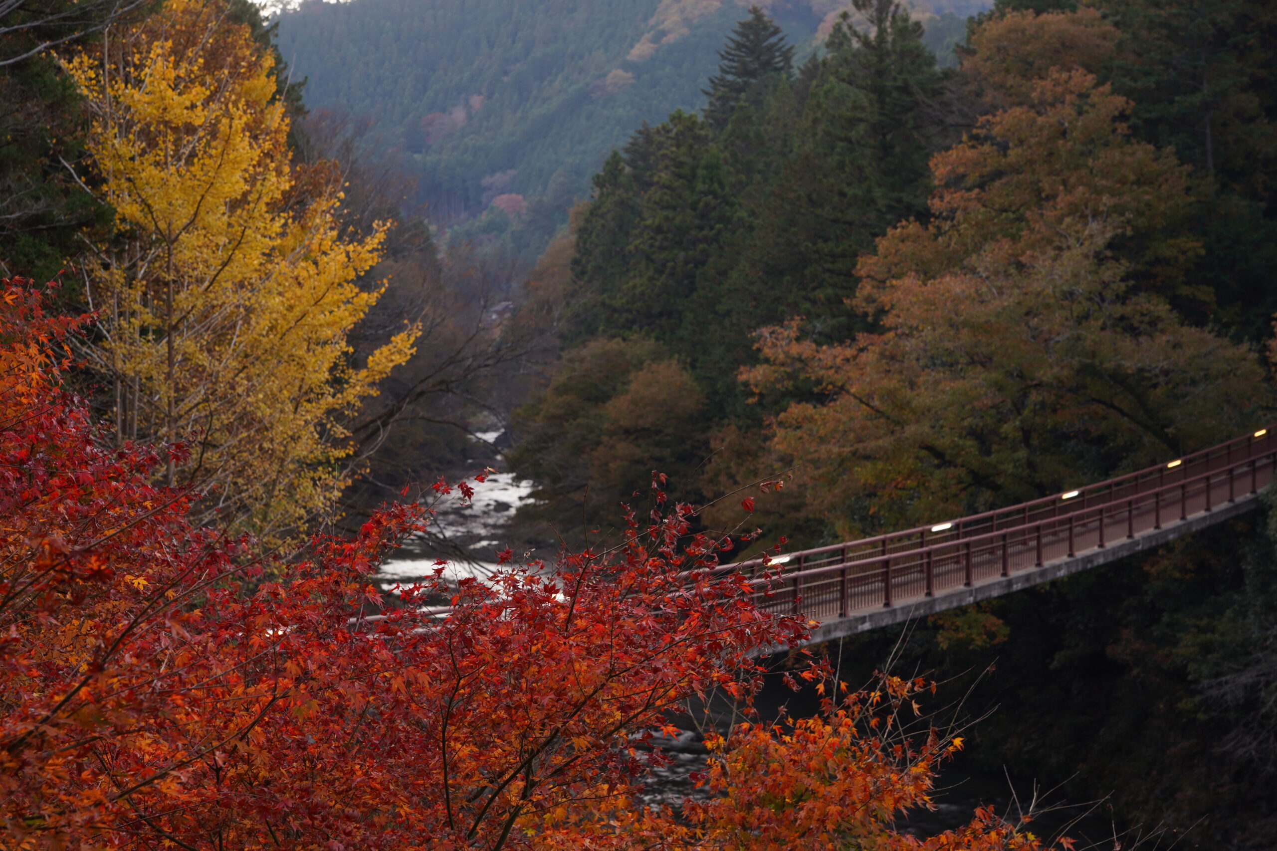 Akigawa Valley