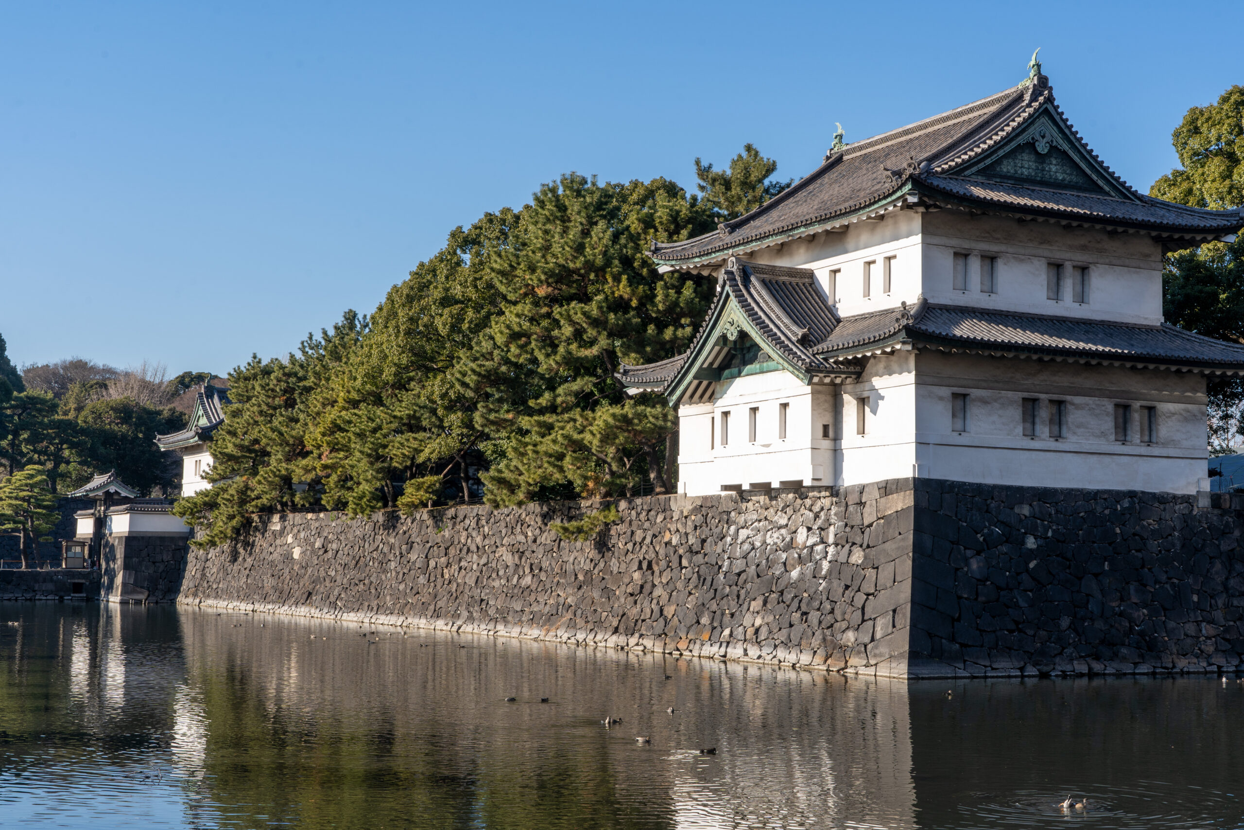 Edo Castle Ruins (The East Gardens of the Imperial Palace)