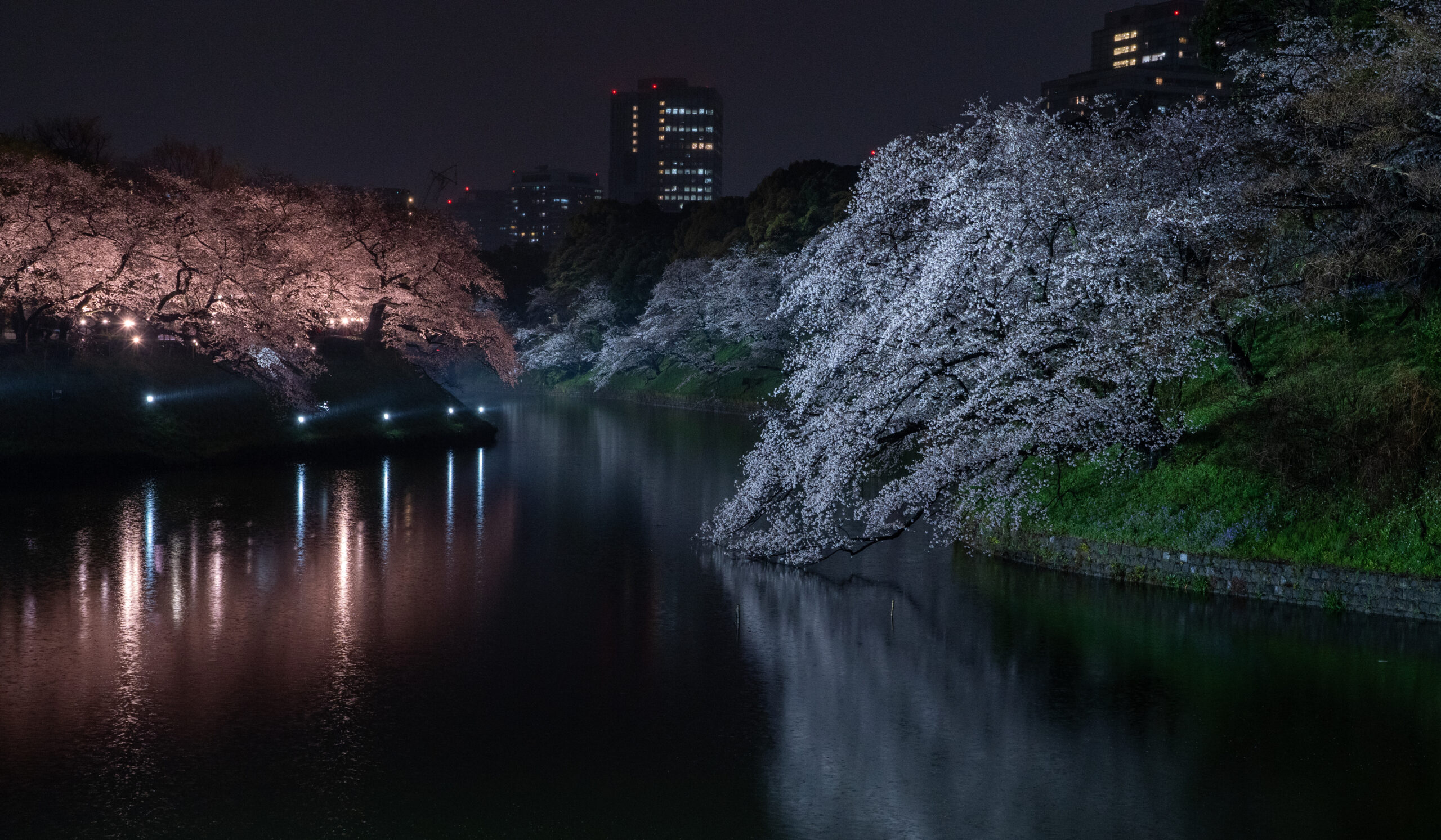 Chidorigafuchi Moat