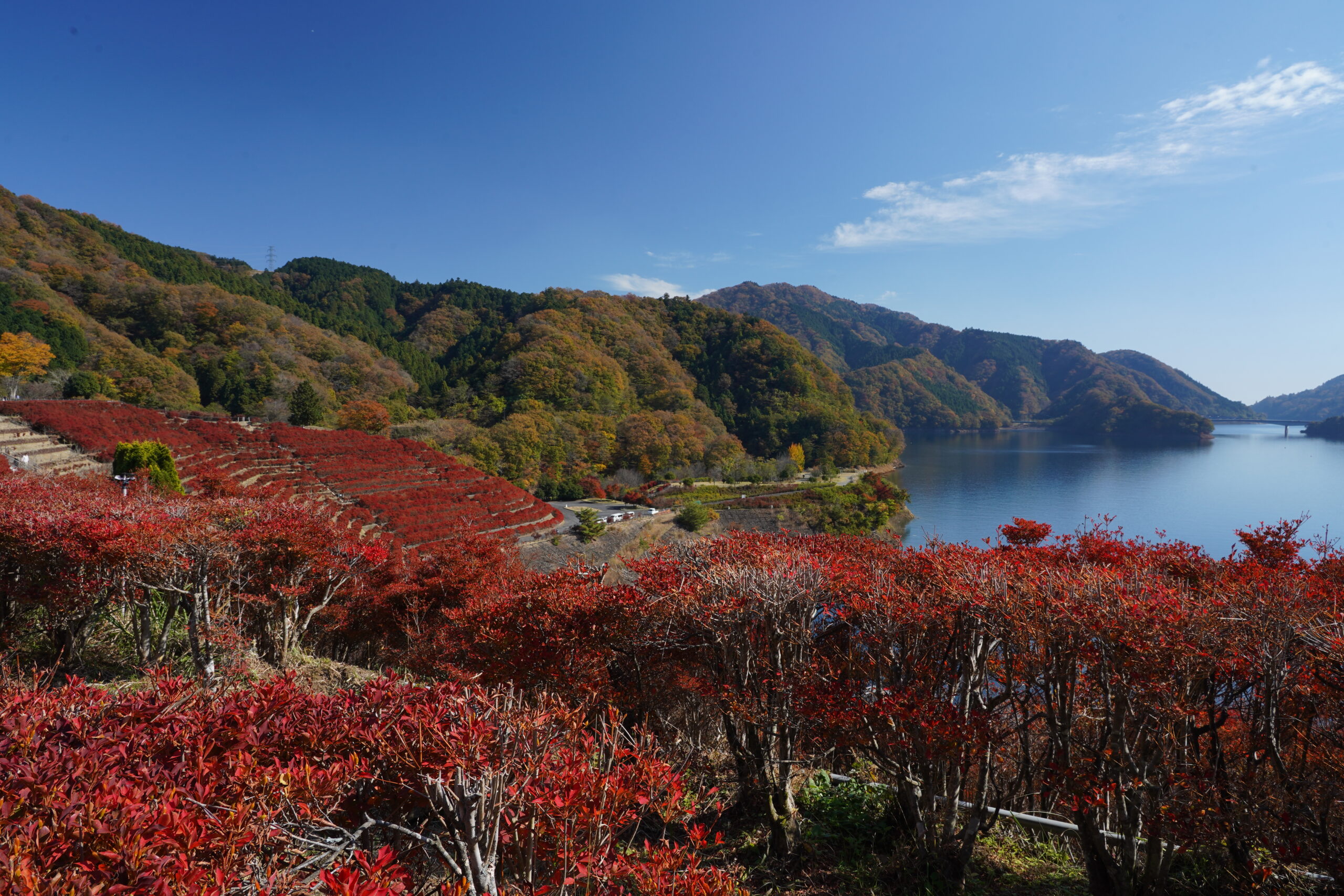 Toriibara Park
