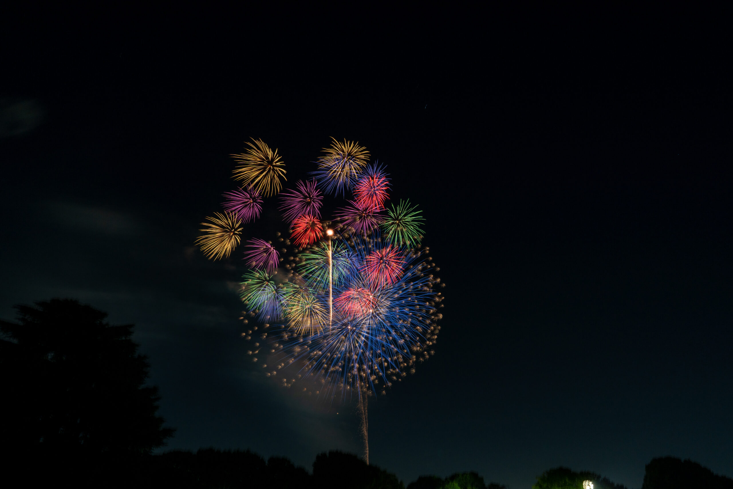 Hanabi (花火)